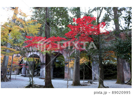 歴史的建造物と真っ赤な紅葉 89020995
