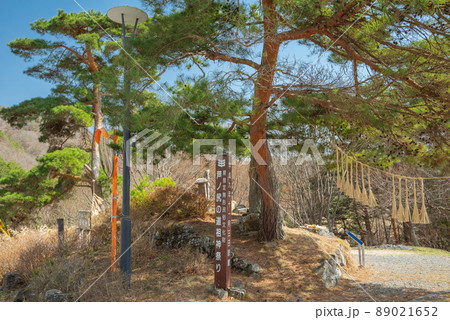 芦ノ尻道祖神【長野市大岡】 89021652