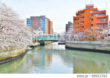 汐見橋～平久橋／平久川付近の桜(東京都江東区)【2022.4】 89021763