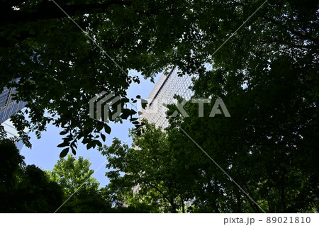 <東京都>オフィスビル街OOTEMORIオーテモリ <東京都>オフィスビル街OOTEMORIオーテモリ 89021810