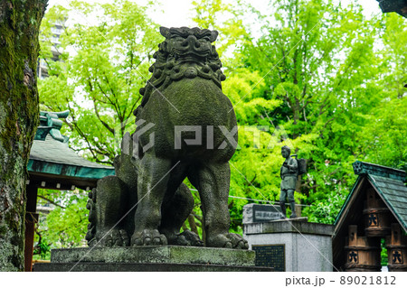 鐵砲洲稲荷神社の狛犬（東京都中央区） 89021812