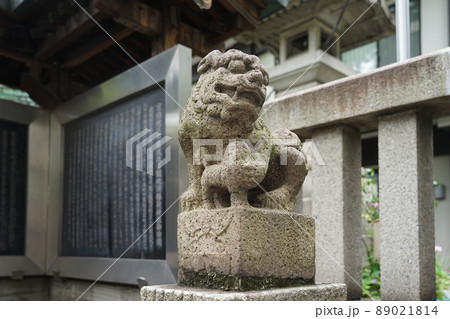 鐵砲洲稲荷神社の狛犬（東京都中央区） 89021814