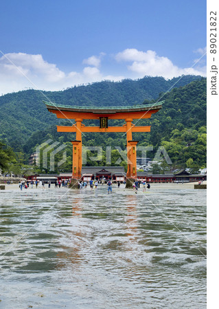 広島県宮島　大潮の厳島神社大鳥居 89021822