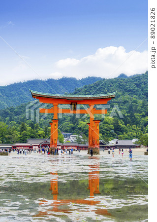 広島県宮島　大潮の厳島神社大鳥居 89021826