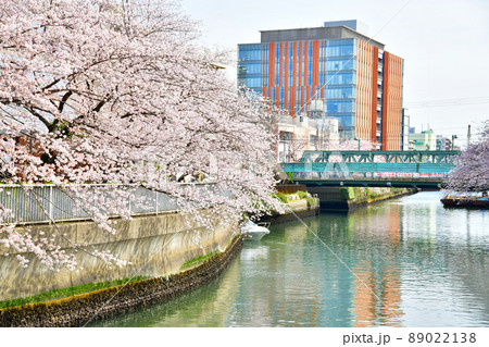 汐見橋~平久橋/平久川付近の桜(東京都江東区)【2022.4】 汐見橋~平久橋/平久川付近の桜(東京都江東区)【2022.4】 89022138