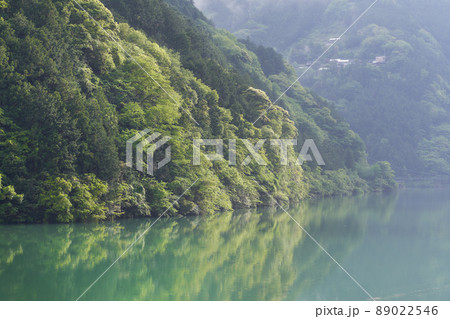 新緑が美しいダム湖の湖畔の風景 新緑が美しいダム湖の湖畔の風景 89022546