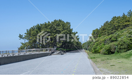 【千葉県】稲毛海浜公園｜いなげの浜・松原散策路 89022854