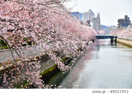 亀久橋／仙台堀川より木更木橋方向を望む(東京都江東区)【2022.4】 89022952