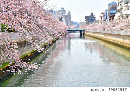 亀久橋／仙台堀川より木更木橋方向を望む(東京都江東区)【2022.4】 89022957