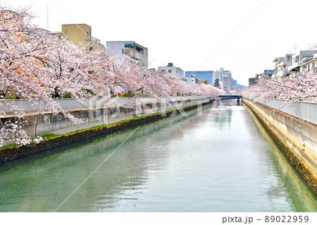 亀久橋／仙台堀川より木更木橋方向を望む(東京都江東区)【2022.4】 89022959