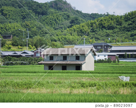 田園の中にポツンと建った倉庫 田園の中にポツンと建った倉庫 89023097
