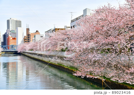 木更木橋／仙台堀川より亀久橋方向を望む(東京都江東区)【2022.4】 89023416