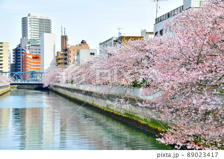 木更木橋／仙台堀川より亀久橋方向を望む(東京都江東区)【2022.4】 89023417