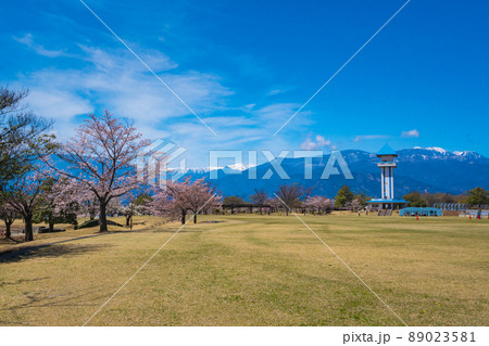 赤坂台総合公園の春風景 赤坂台総合公園の春風景 89023581