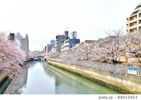木更木橋／仙台堀川より海辺橋方向を望む(東京都江東区)【2022.4】 89023953