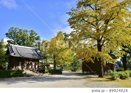 大分県 大分城址公園内 松栄神社 大分県 大分城址公園内 松栄神社 89024028