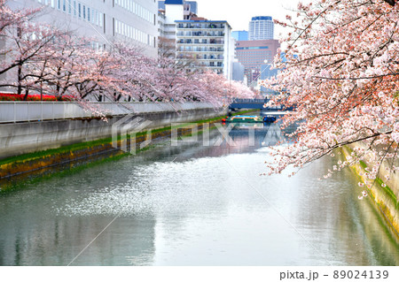 海辺橋／仙台堀川より清澄橋方向を望む(東京都江東区)【2022.4】 89024139