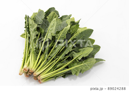 白バックのホウレン草 白バックのホウレン草 89024288