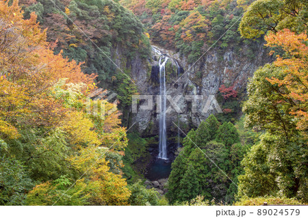 富貴野の滝　紅葉 89024579