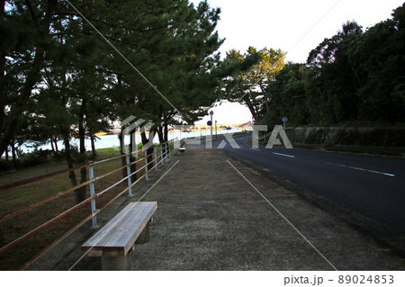 鹿児島県 屋久島 如竹通りを振り返る 鹿児島県 屋久島 如竹通りを振り返る 89024853