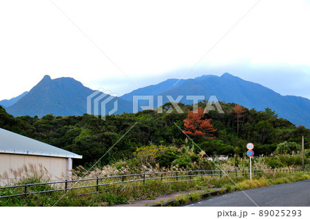 鹿児島県 屋久島 安房港近くのショッピングセンターから反時計回りに77号線に向かう道から山々を望む 鹿児島県 屋久島 安房港近くのショッピングセンターから反時計回りに77号線に向かう道から山々を望む 89025293