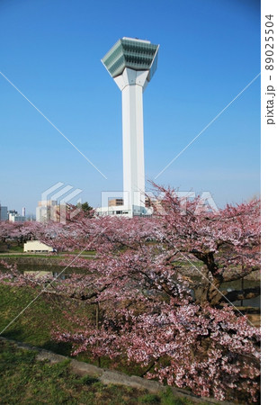 五稜郭タワー(北海道函館市) 五稜郭タワー(北海道函館市) 89025504