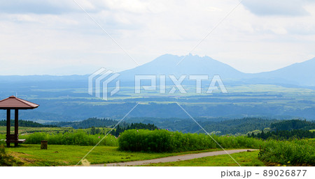 ヒゴタイの花(ヒゴタイ公園)「観光名所・阿蘇五岳を背景」阿蘇郡産山村 89026877