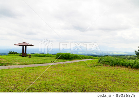 ヒゴタイの花(ヒゴタイ公園)「観光名所・阿蘇五岳を背景」阿蘇郡産山村 ヒゴタイの花(ヒゴタイ公園)「観光名所・阿蘇五岳を背景」阿蘇郡産山村 89026878