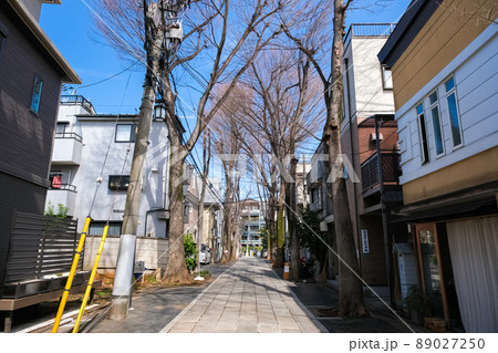 東京都豊島区 雑司が谷 鬼子母神表参道 東京都豊島区 雑司が谷 鬼子母神表参道 89027250