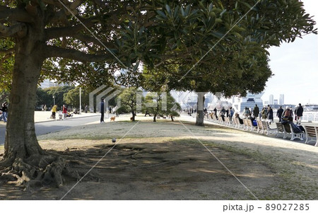 横浜市中区山下町 山下公園(やましたこうえん)風致公園 石の広場 お祭り広場 芝生広場 中央広場 等 横浜市中区山下町 山下公園(やましたこうえん)風致公園 石の広場 お祭り広場 芝生広場 中央広場 等 89027285