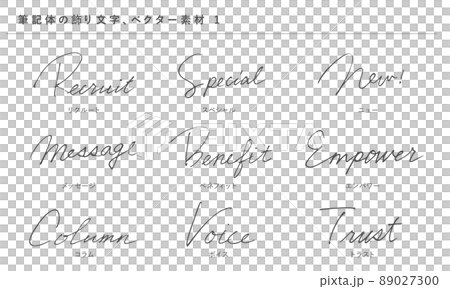 筆記体の優雅な飾り文字1、ベクター素材、手書き、ビジネス 89027300