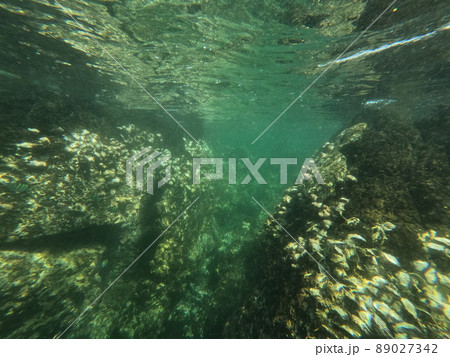 Amazing reef cleft underwater, big boulders dotted with seashells. High quality photo 89027342