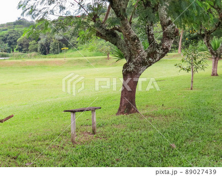 Wooden bench beside the road in grassy park. 89027439