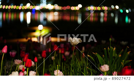 花と光のムーブメント2022/浮間公園 花と光のムーブメント2022/浮間公園 89027472