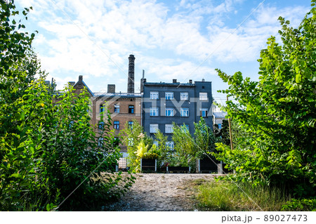 Urban gardening - community garden in center of the city with raised beds. Urban Horticulture. Selective focus 89027473