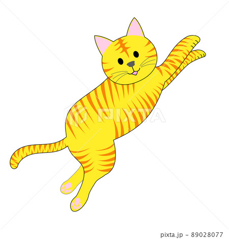 jumping cat white background