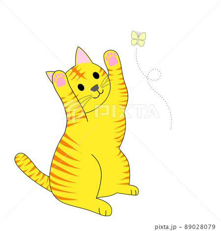 黄色い蝶とじゃれる虎猫　白背景 89028079