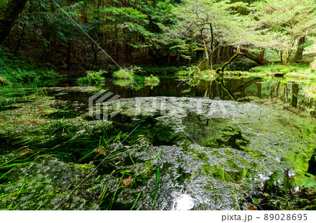 山吹水源「名水百選・観光名所」阿蘇郡産山村 89028695