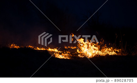 Nature on fire, night shot. Arson and fire, disaster and extreme events themes Nature on fire, night shot. Arson and fire, disaster and extreme events themes 89028705