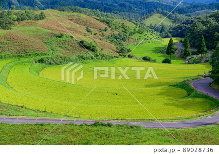 扇棚田(秋)「つなぐ棚田遺産・観光地名所」阿蘇郡産山村 89028736
