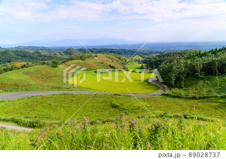 扇棚田(秋)「つなぐ棚田遺産・観光地名所」阿蘇郡産山村 89028737