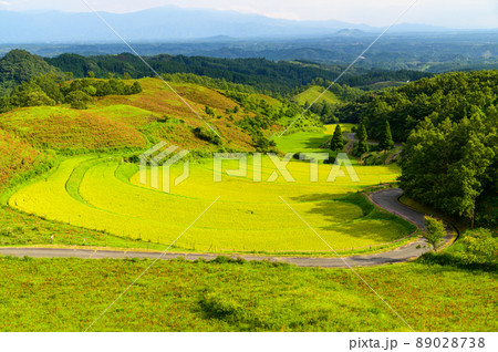 扇棚田(秋)「つなぐ棚田遺産・観光地名所」阿蘇郡産山村 89028738