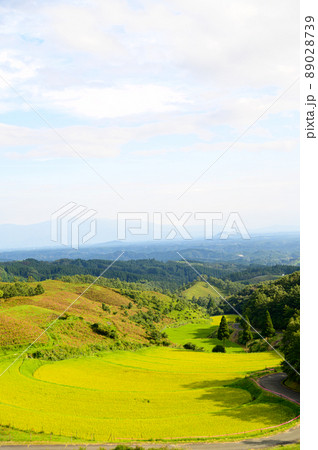 扇棚田(秋)「つなぐ棚田遺産・観光地名所」阿蘇郡産山村 89028739