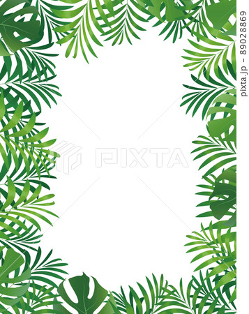 椰子の葉　リゾート　トロピカル　背景素材