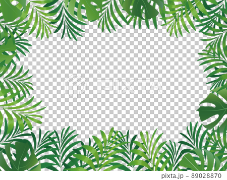 椰子の葉　リゾート　トロピカル　背景素材 89028870