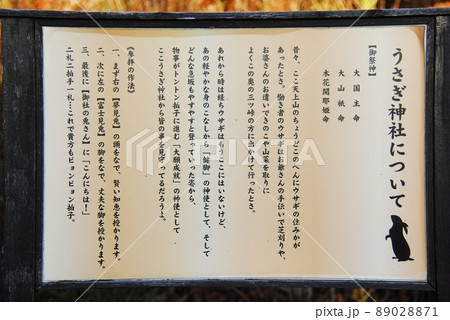「うさぎ神社について」と書かれた説明板(山梨県南都留郡富士河口湖町) 「うさぎ神社について」と書かれた説明板(山梨県南都留郡富士河口湖町) 89028871