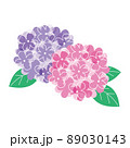 梅雨の花　紫陽花のイラスト　ベクター 89030143
