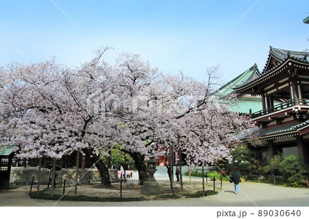 福岡市の東長寺五重塔 89030640