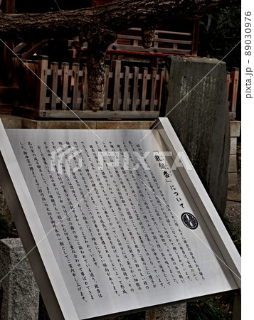 秩父神社の風景 秩父神社の風景 89030976