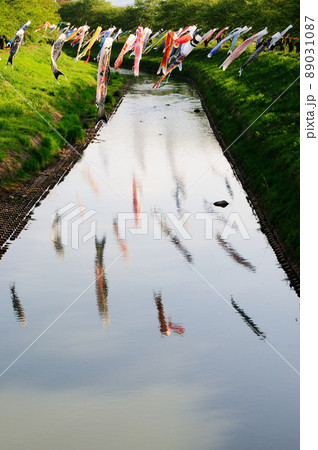 川の表面に反射して映るこいのぼり 89031087